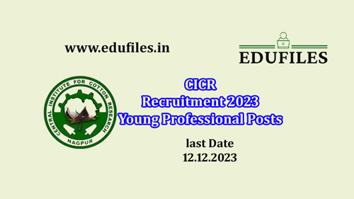 CICR Recruitment 2023 Young Professional Posts