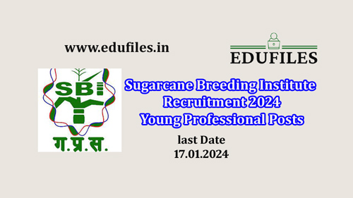 Sugarcane Breeding Institute Recruitment 2024 Young Professional Posts