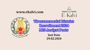 Tiruvannamalai District Recruitment 2024 MIS Analyst Posts