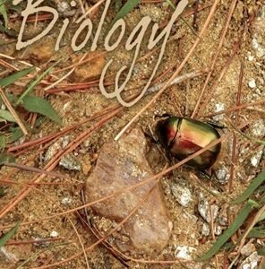 Biology Textbook For Class 11 2025-26 Edition